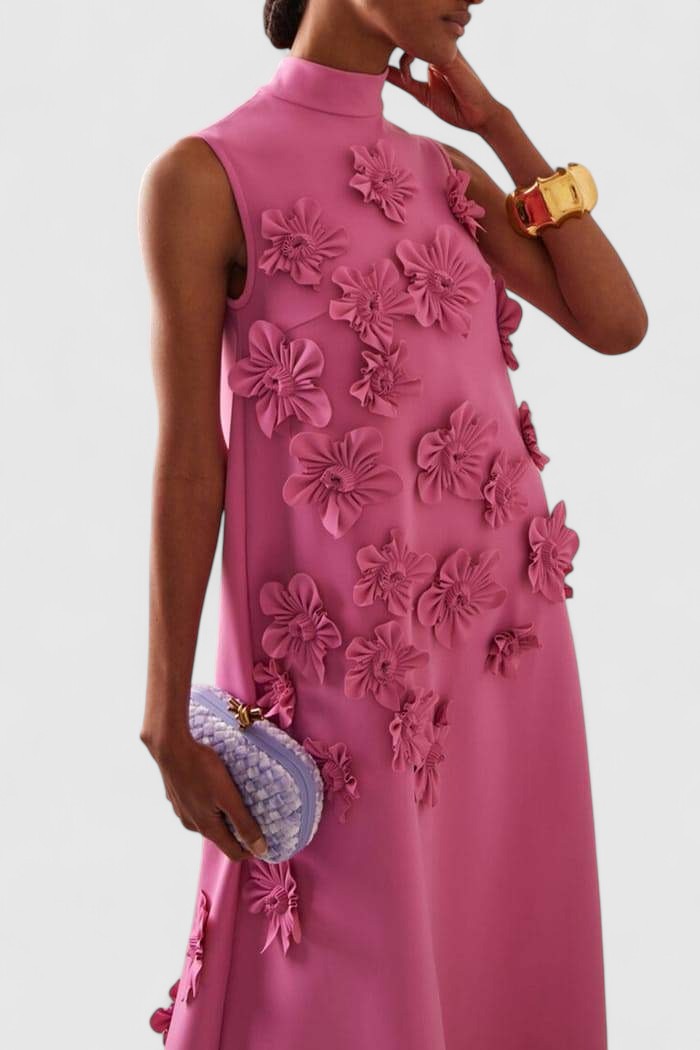 Orion Sleeveless Maxi Dress with 3D Floral Appliqué